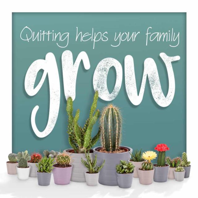 Photo of a collection of cacti with text saying "quitting helps your family grow."
