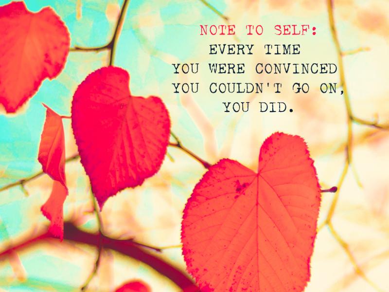 Red heart-shaped leaves hang on a branch. The text reads "Note to self: Every time you were convinced you couldn't go on, you did."
