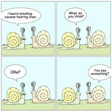 Cartoon strip of two snails talking to one another, but one has hearing loss and can't hear what the other is saying.