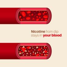 animated picture of blood with and without nicotine with text saying "nicotine from dip stays in your blood"