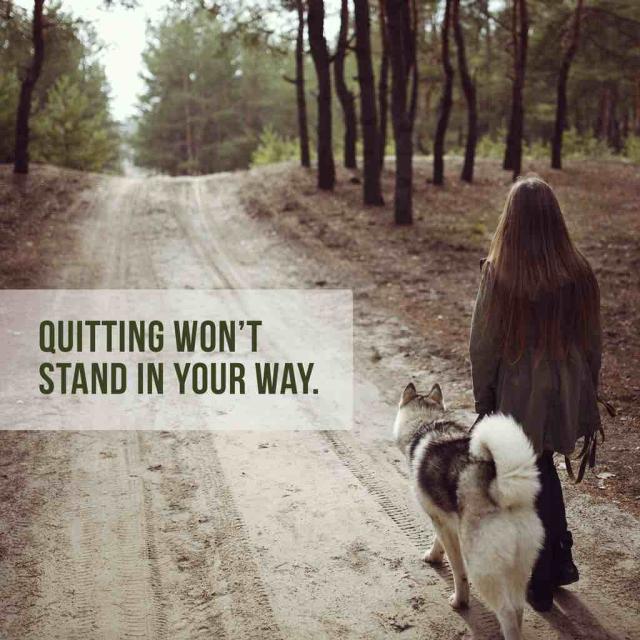 Photo of a woman walking a dog on a trail with text saying "quitting won't stand in your way."