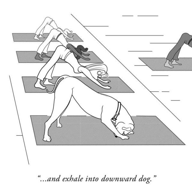 Comic of several participants in a yoga class. One woman is looking surprised at the front of the class, where a dog is doing the Downward Dog yoga pose. Caption says, "... and exhale into downward dog."