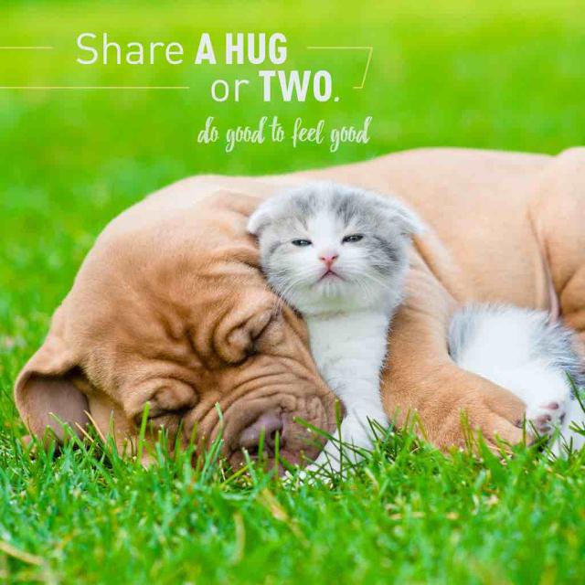 Photo of a dog and kitten hugging with text that says "Share a hug or two: Do good to feel good."